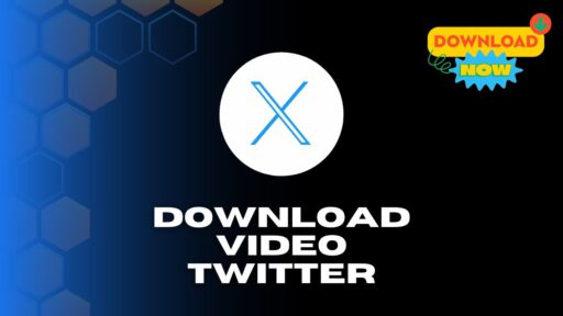 Download Video Twitter